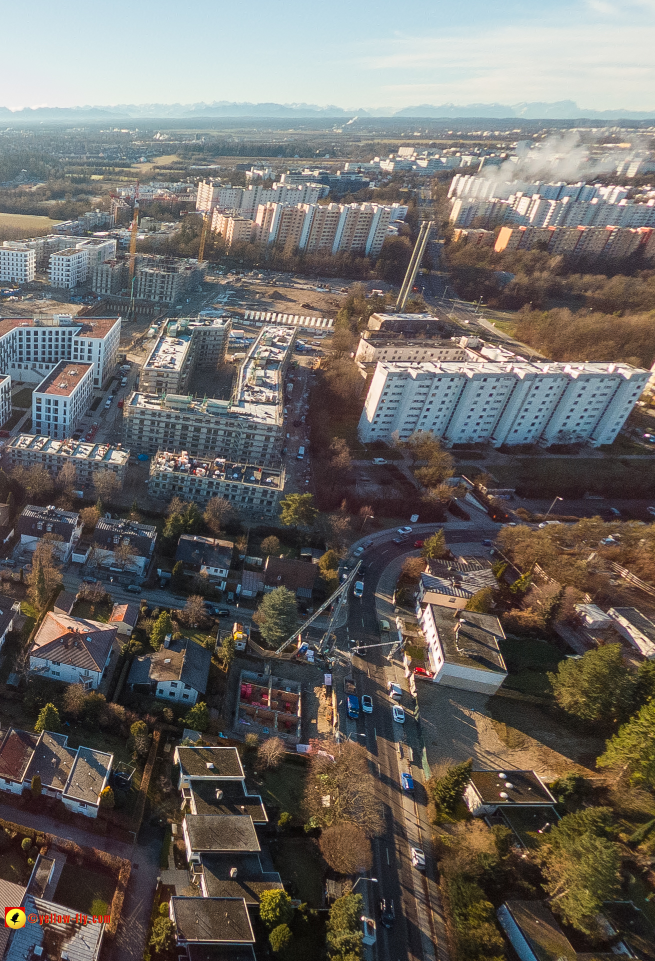 16.01.2023 - Alexisquartier und Pandion Verde 16.01.2023 - Alexisquartier und Pandion Verde